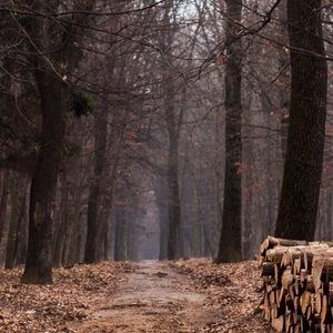 Meet your Posher, Phuc